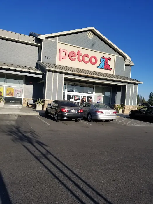 Petco Picture 4