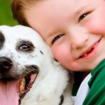 Compassion Vet Hospital