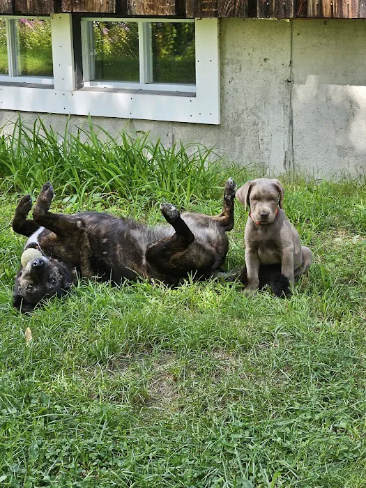 Compassion Vet Hospital Picture 8