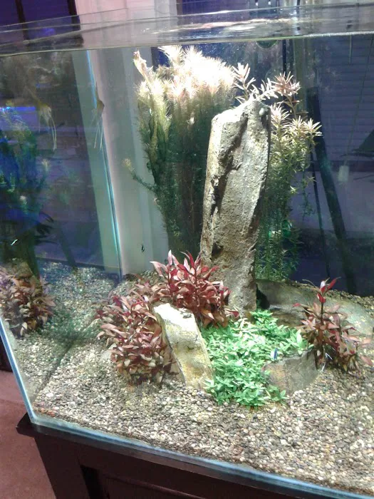 Blue Planet Aquarium Picture 1