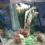 Blue Planet Aquarium