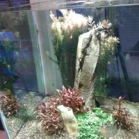 Blue Planet Aquarium ico