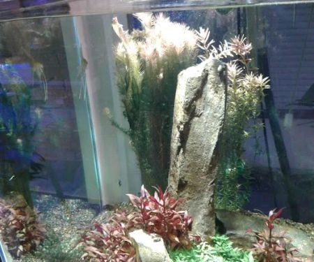 Blue Planet Aquarium