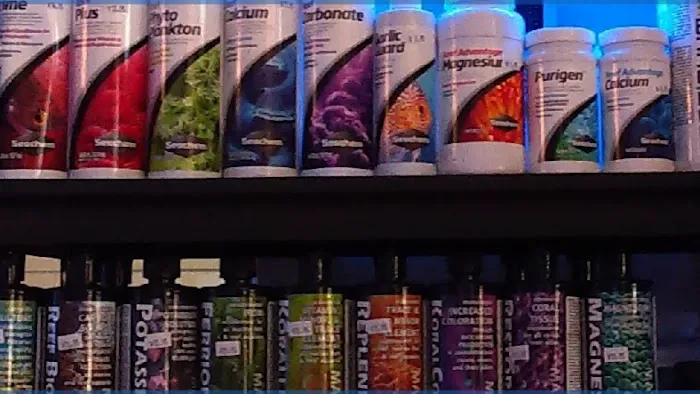 Blue Planet Aquarium Picture 2