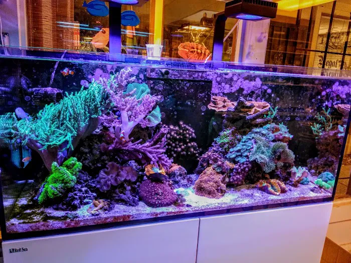 Blue Planet Aquarium Picture 3