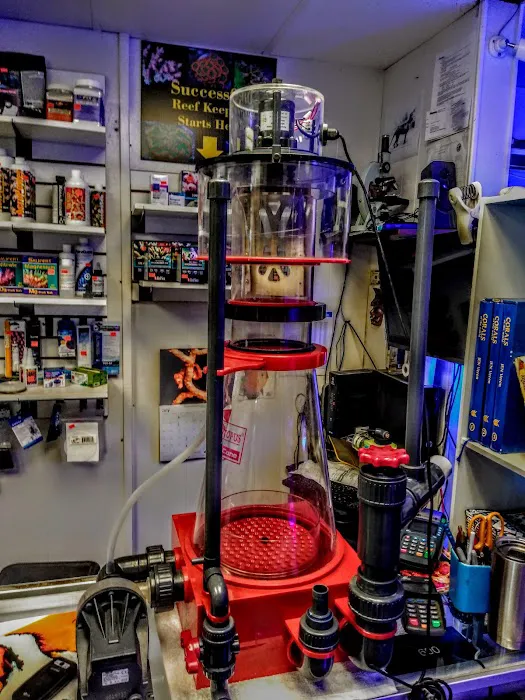 Blue Planet Aquarium Picture 5