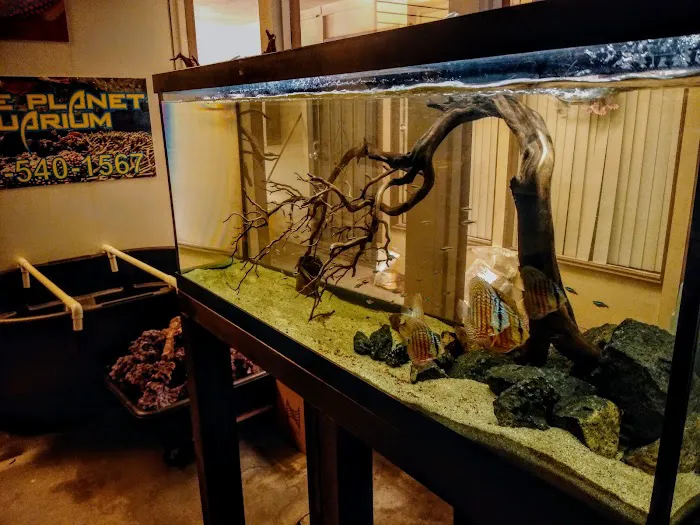 Blue Planet Aquarium Picture 6