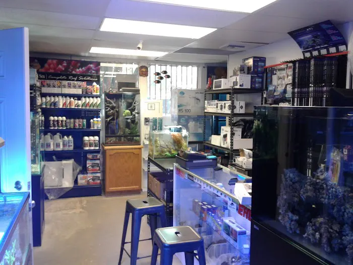 Blue Planet Aquarium Picture 4