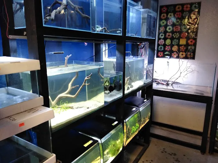 Blue Planet Aquarium Picture 9