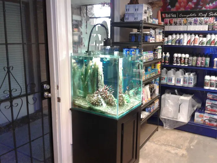 Blue Planet Aquarium Picture 10