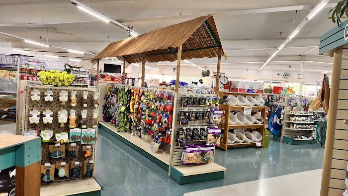 Whitie's Pets Picture 3