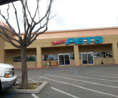 Whitie's Pets