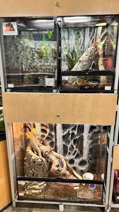 Whitie's Pets Picture 2