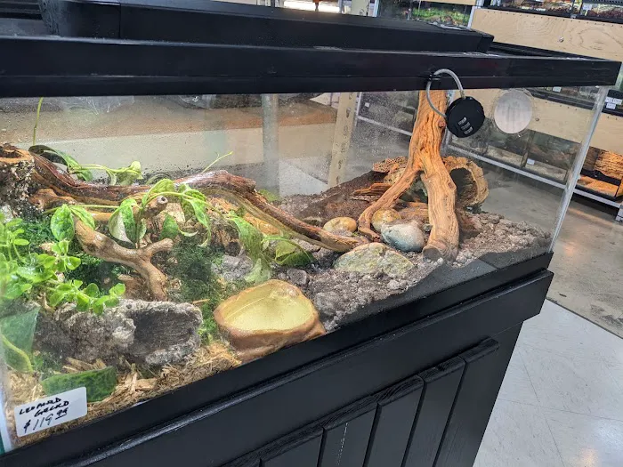 Whitie's Pets Picture 4