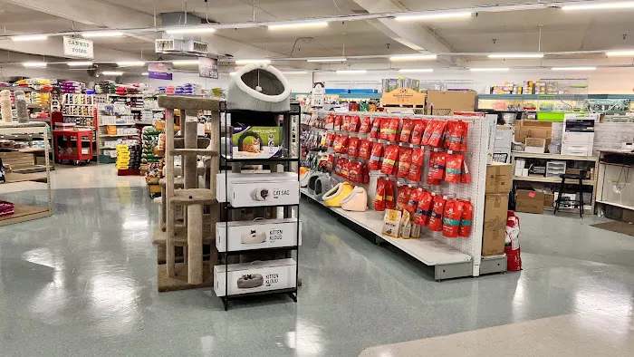 Whitie's Pets Picture 7