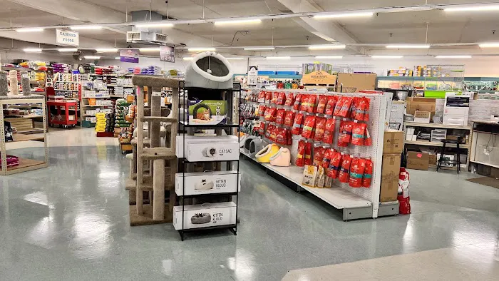 Whitie's Pets Picture 8