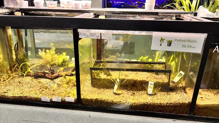 Whitie's Pets Picture 9