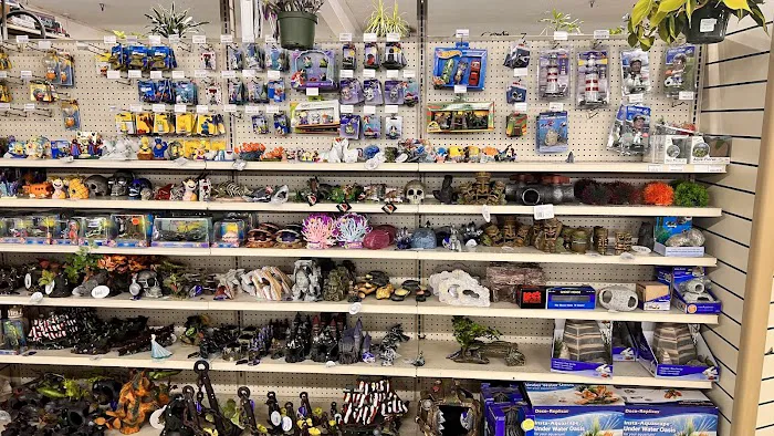 Whitie's Pets Picture 10