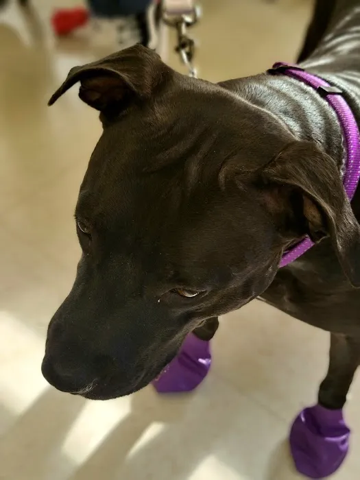 Glen Lake Animal Hospital Picture 3