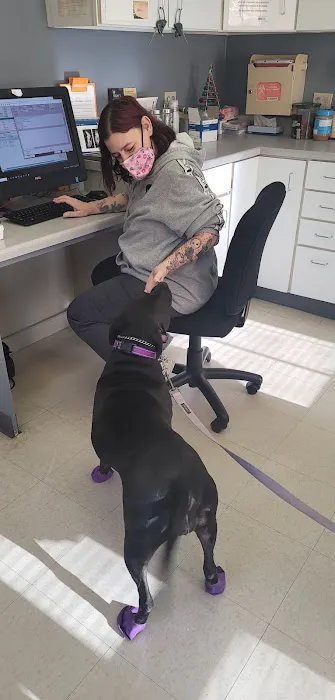 Glen Lake Animal Hospital Picture 1