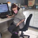 Glen Lake Animal Hospital