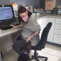 Glen Lake Animal Hospital ico