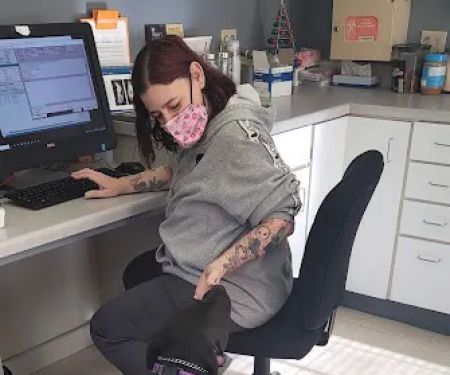 Glen Lake Animal Hospital