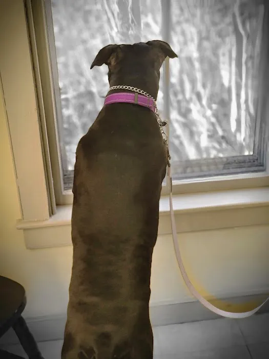 Glen Lake Animal Hospital Picture 2