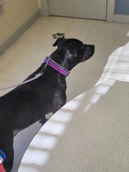 Glen Lake Animal Hospital Picture 4