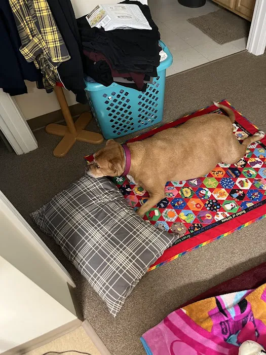 Glen Lake Animal Hospital Picture 5