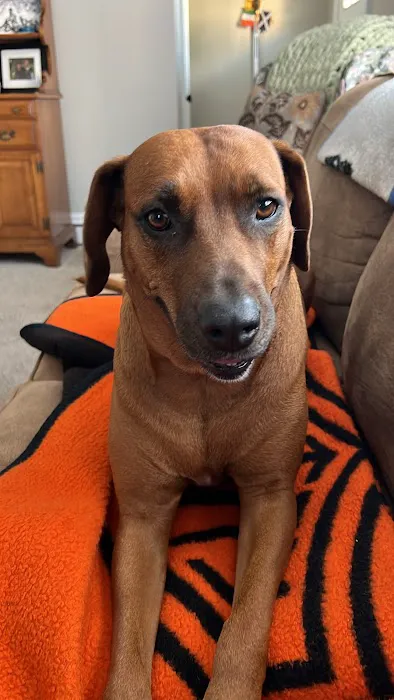 Glen Lake Animal Hospital Picture 6