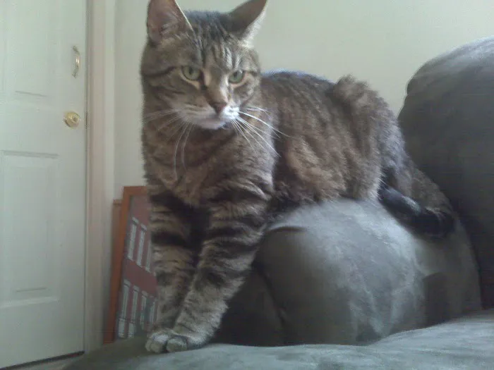 Glen Lake Animal Hospital Picture 7