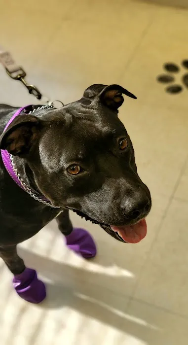 Glen Lake Animal Hospital Picture 10