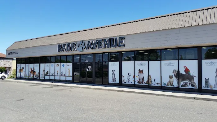 Bark Avenue Rocklin Picture 1