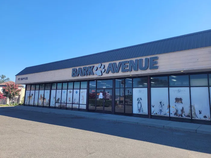 Bark Avenue Rocklin Picture 5