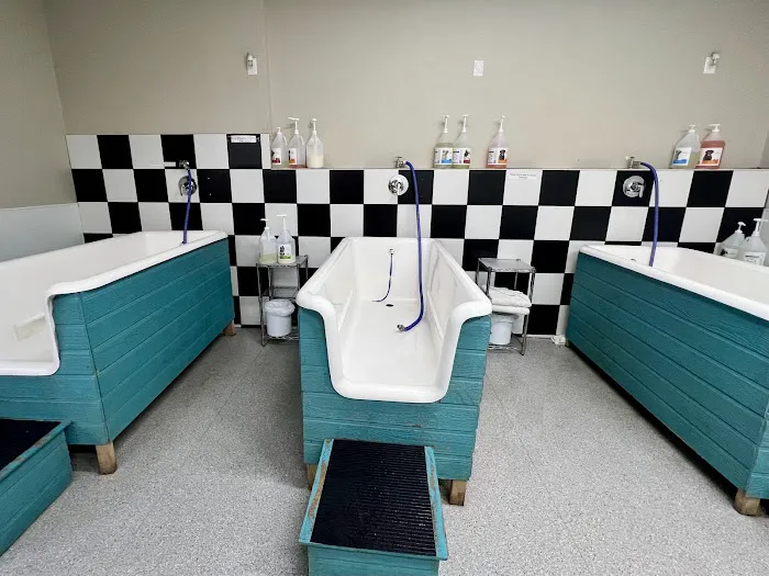 Bark Avenue Rocklin Picture 6