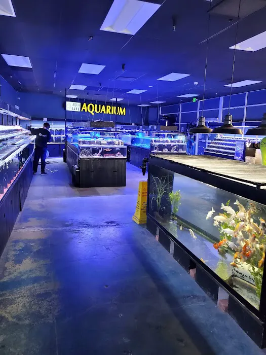 Aqua Life Aquarium Picture 1
