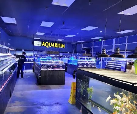 Aqua Life Aquarium