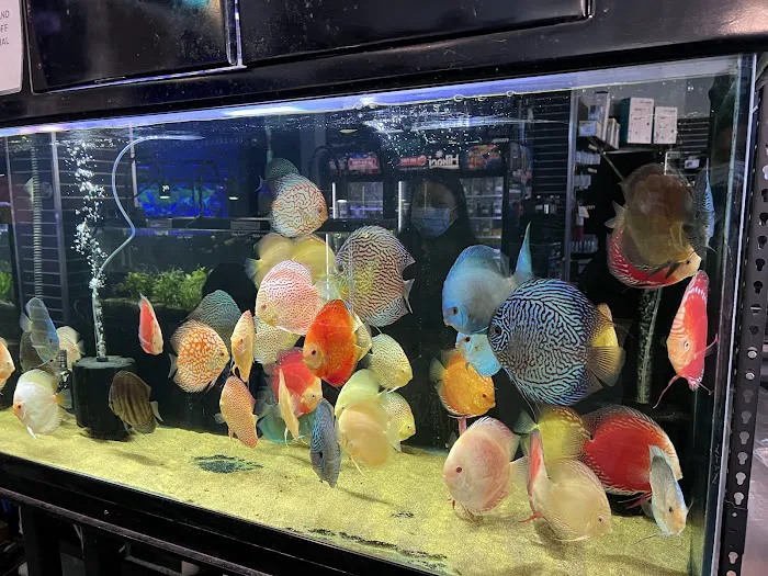 Aqua Life Aquarium Picture 4