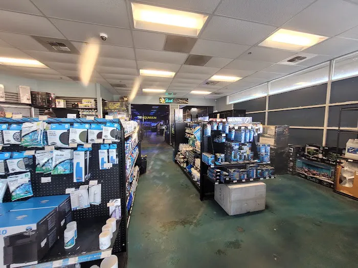 Aqua Life Aquarium Picture 5