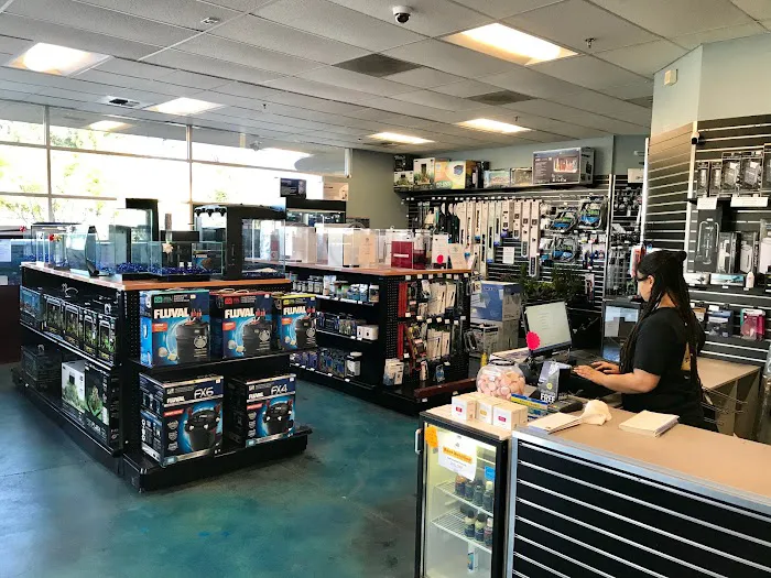 Aqua Life Aquarium Picture 8