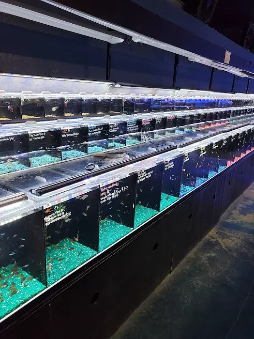 Aqua Life Aquarium Picture 7