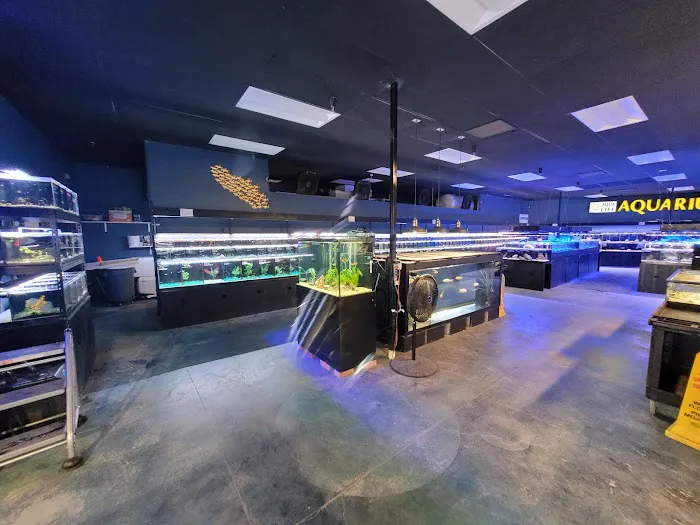 Aqua Life Aquarium Picture 6