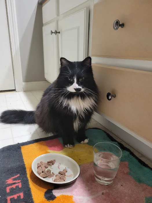 Bedford Veterinary Medical Center Picture 4