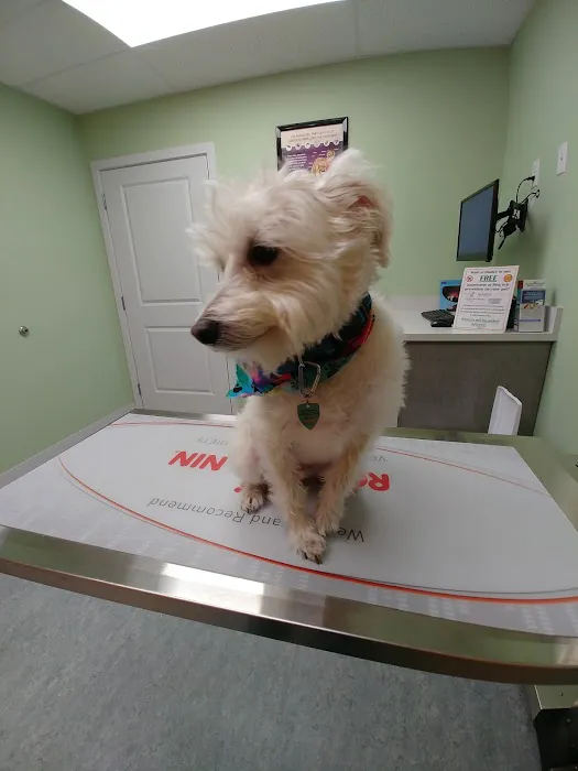 Bedford Veterinary Medical Center Picture 7