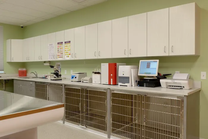 Bedford Veterinary Medical Center Picture 5