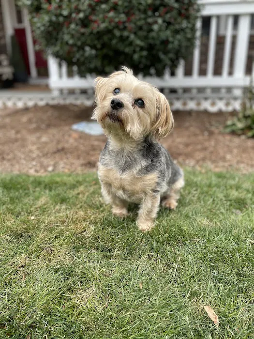 Bedford Veterinary Medical Center Picture 6