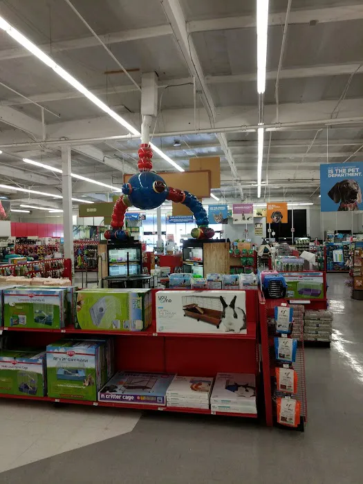 Petco Picture 3