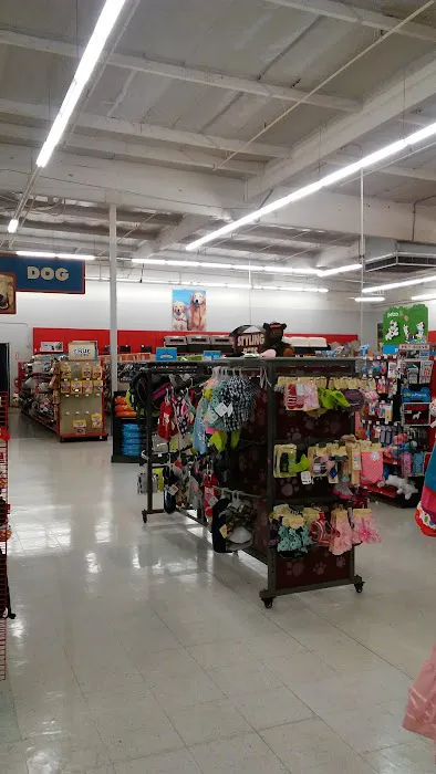 Petco Picture 8