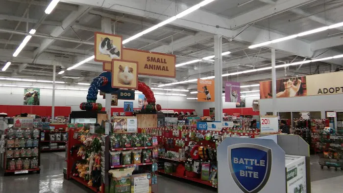 Petco Picture 7